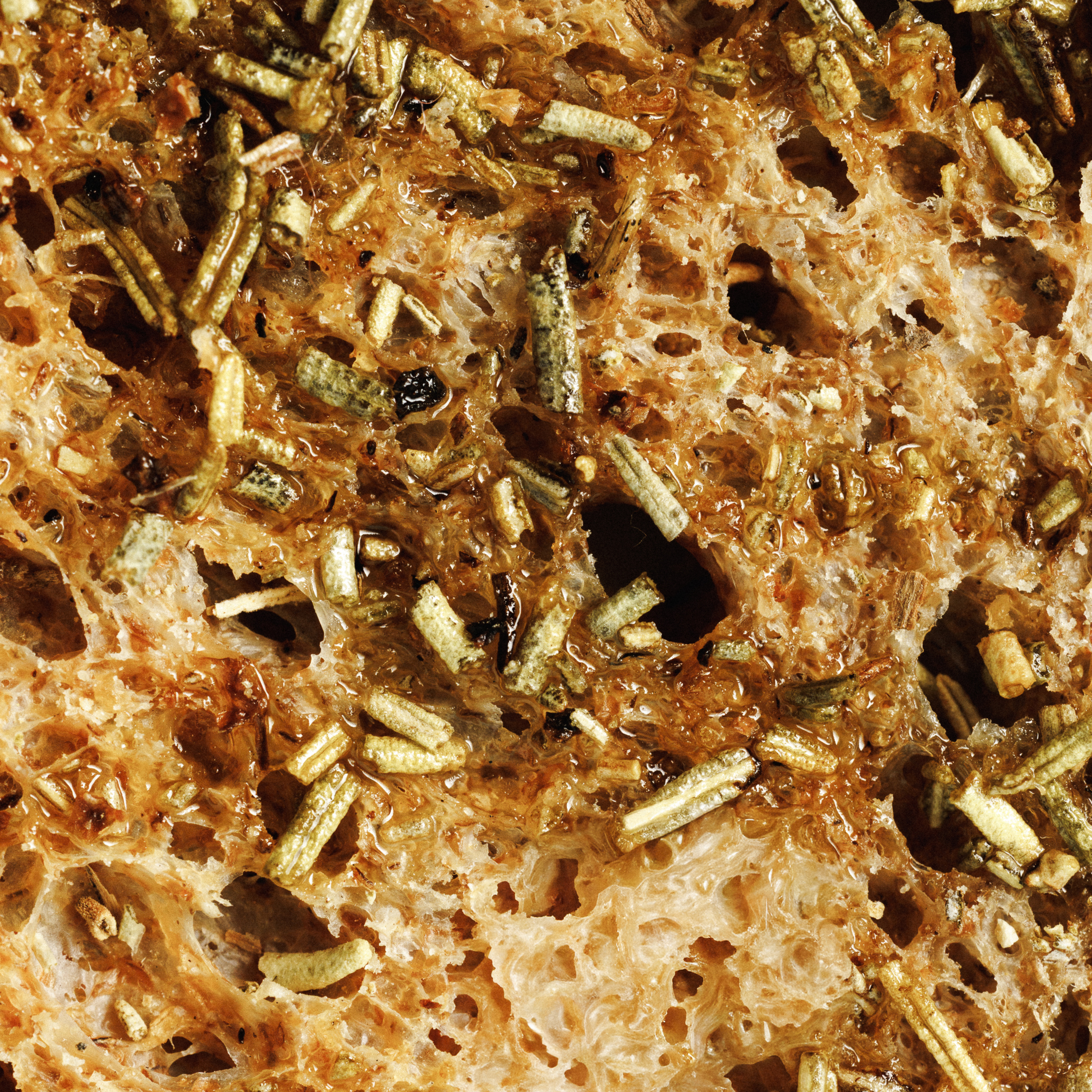 Tostas com Azeite e Alecrim 1